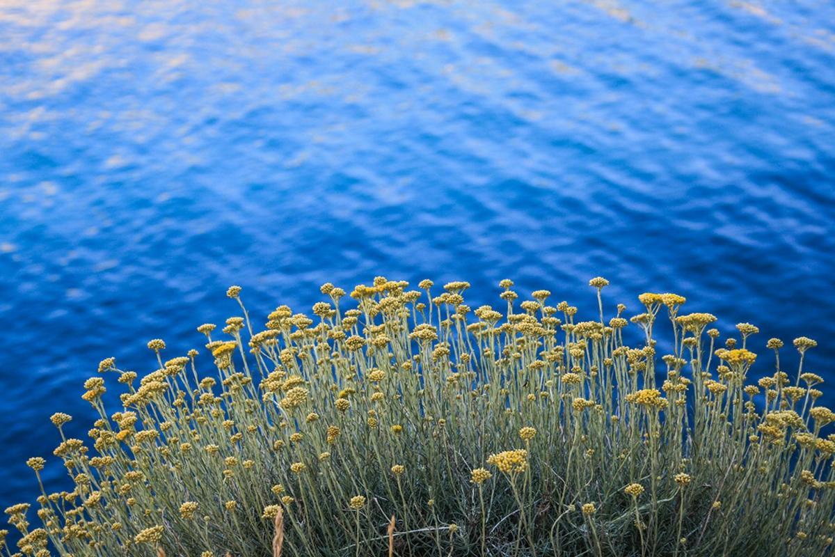 Apartmán Dandy Povljana Exteriér fotografie