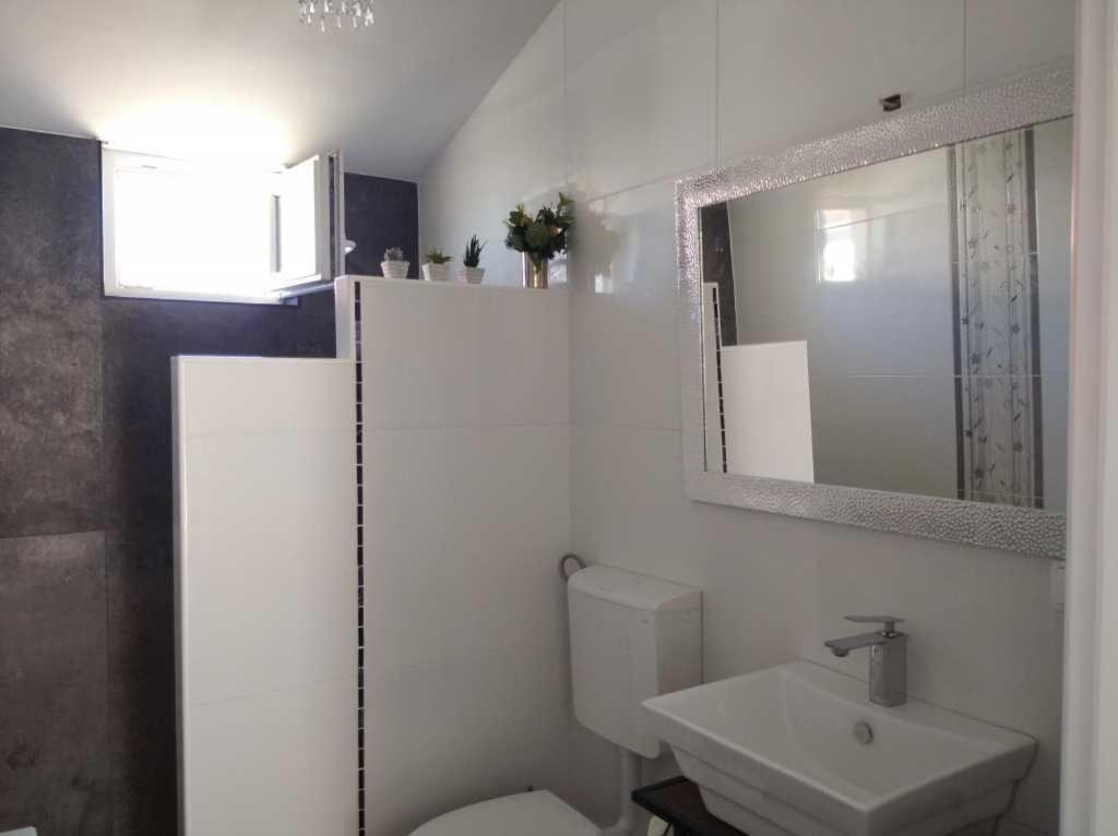 Apartmán Dandy Povljana Exteriér fotografie